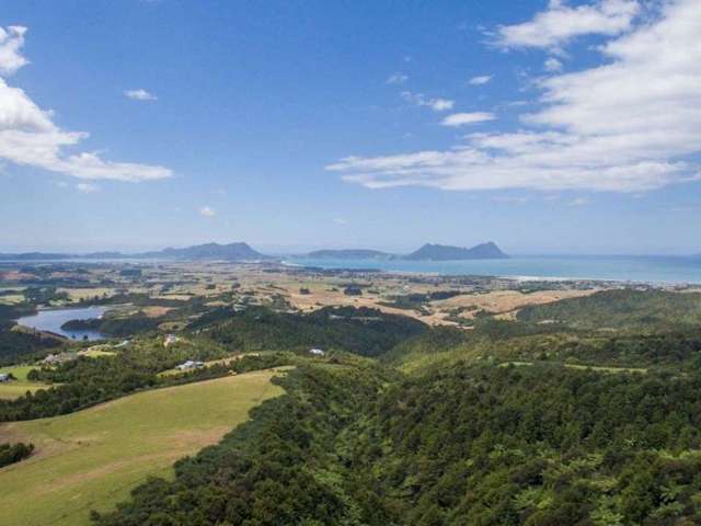 442 Prescott Road Ruakaka_1