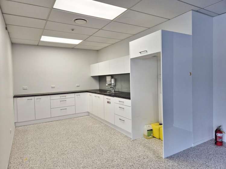 15 Walter Street Te Aro_15