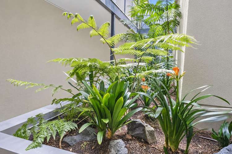 2B/10 Ruskin Street Parnell_14