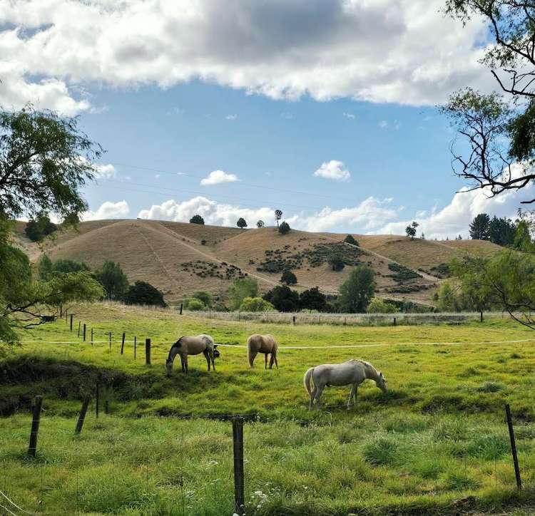 207 Eighty Eight Valley Road Wakefield_26