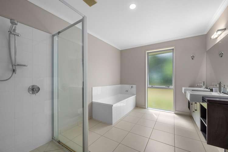 194B Horseshoe Bush Road Dairy Flat_16