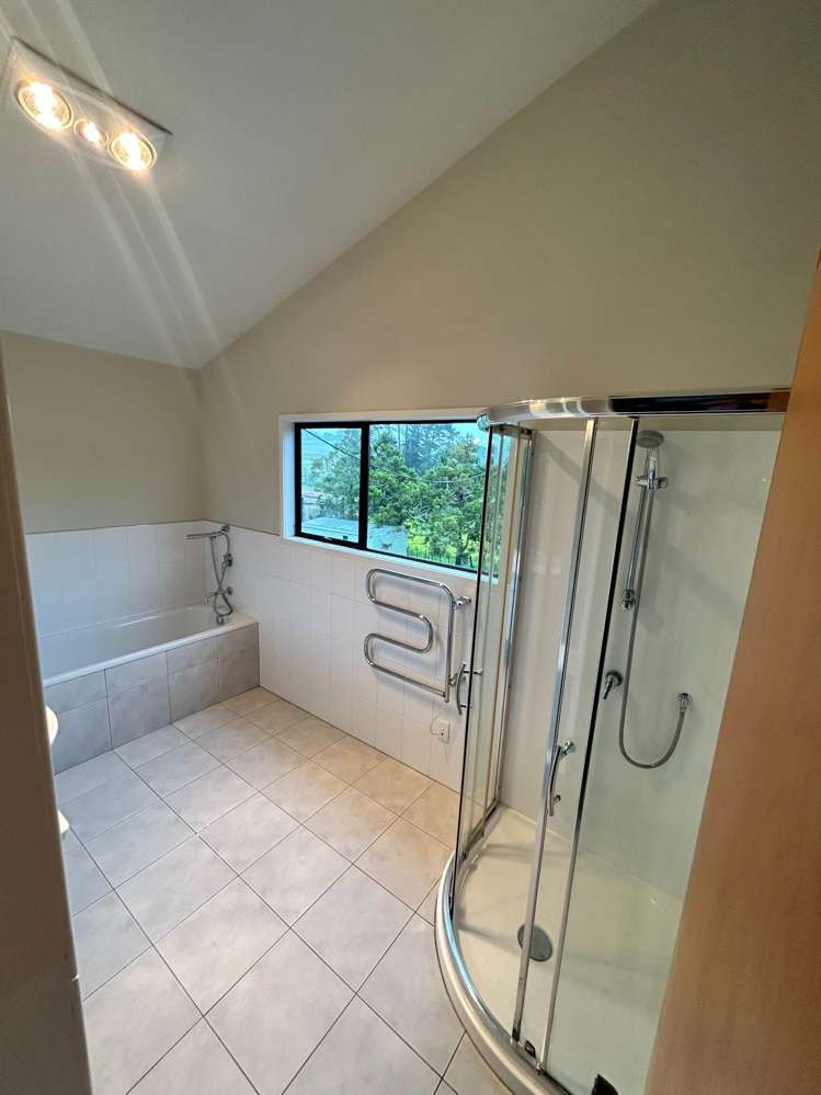 81 Blackbridge Road Dairy Flat_14