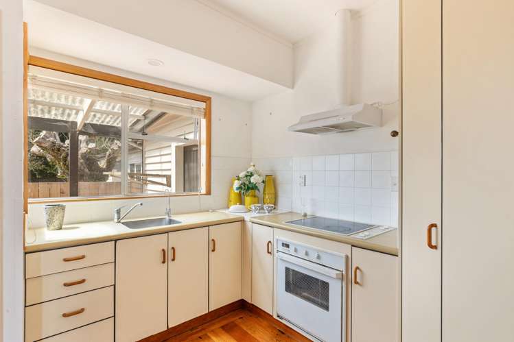 407 Carrington Street Vogeltown_8