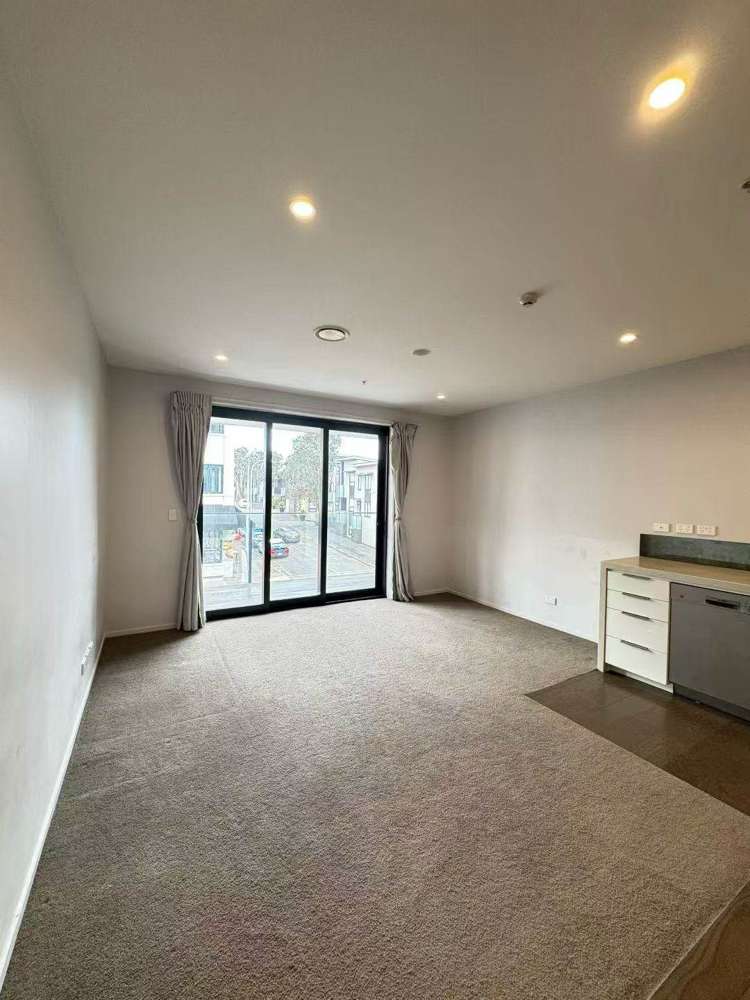 102/27 Enfield Street Mt Eden_22