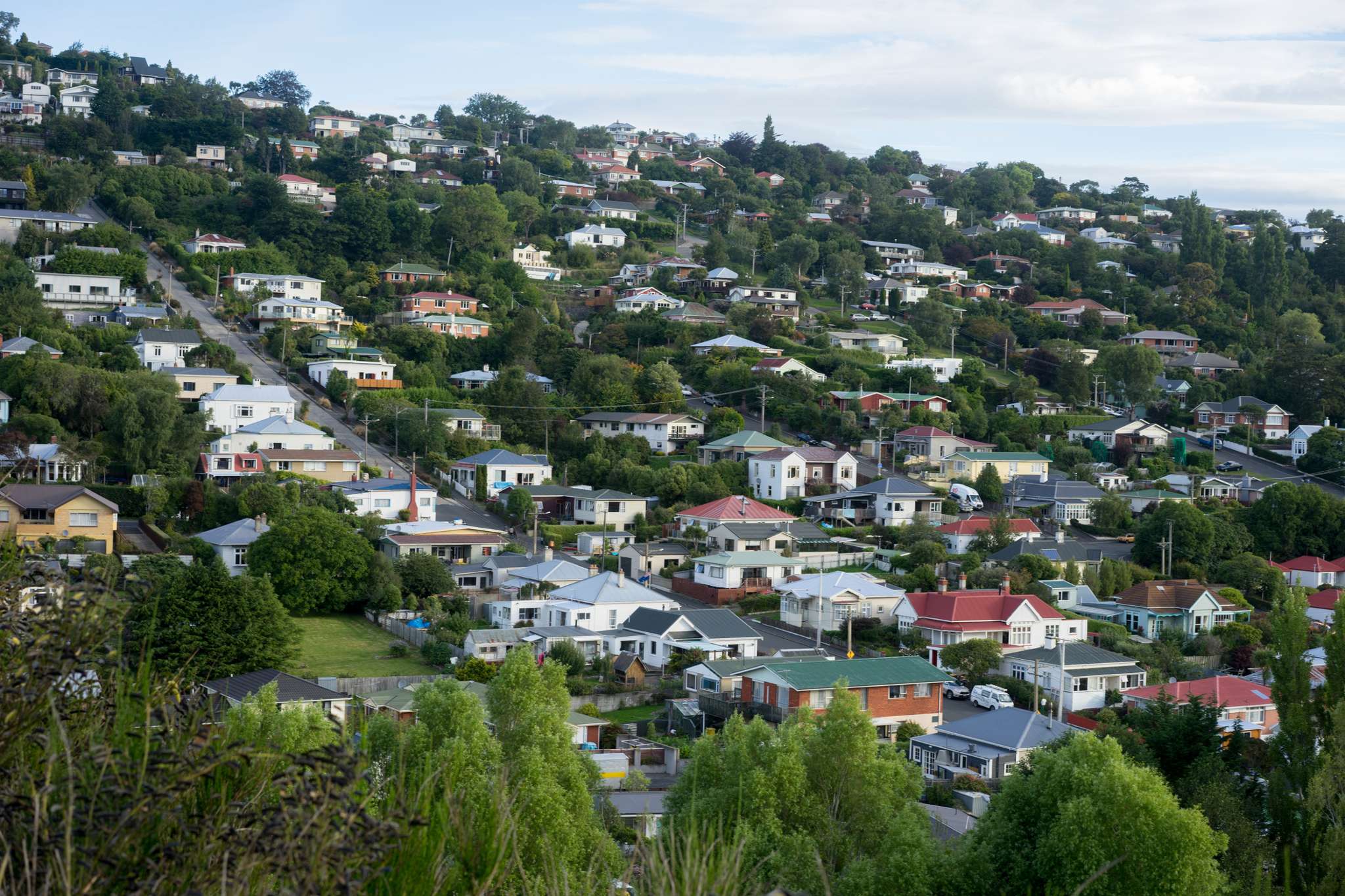 Investor activity remains high in Dunedin