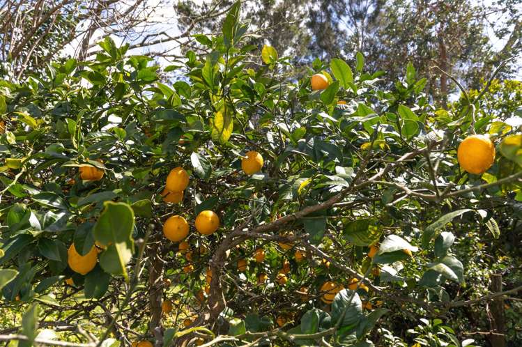 96 Russell Road Huntly_27