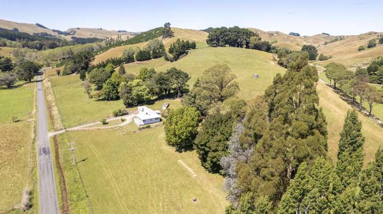 233 South Road Mauriceville_18