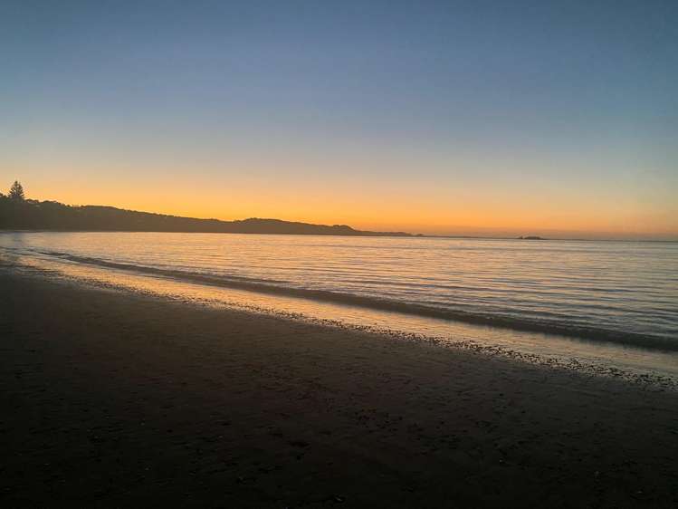 354 The Esplanade Island Bay_20