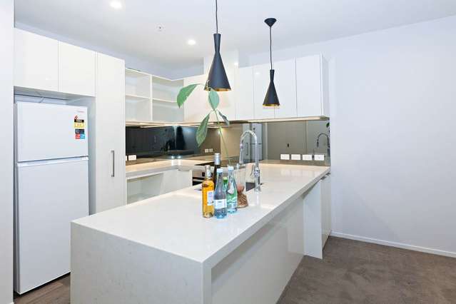 224/27 Enfield Street Mt Eden_3