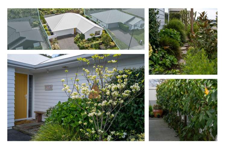 29 Lakeside Terrace Omokoroa_32