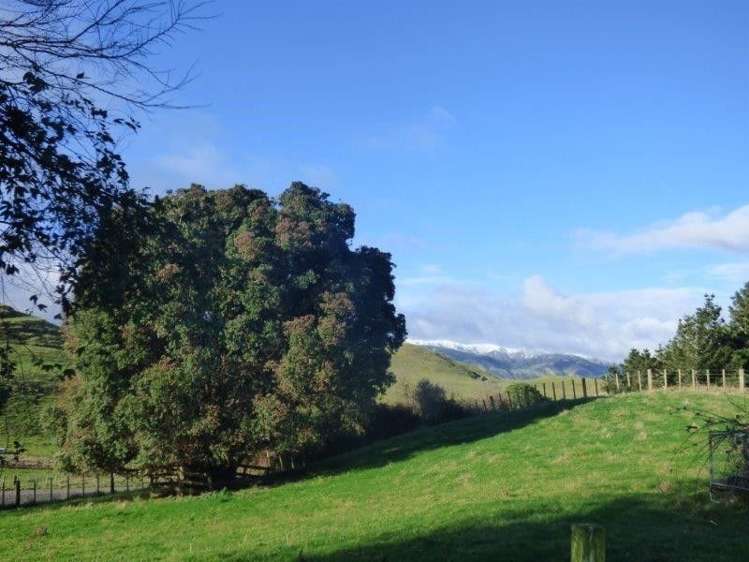 692 Spur Road Bunnythorpe_15