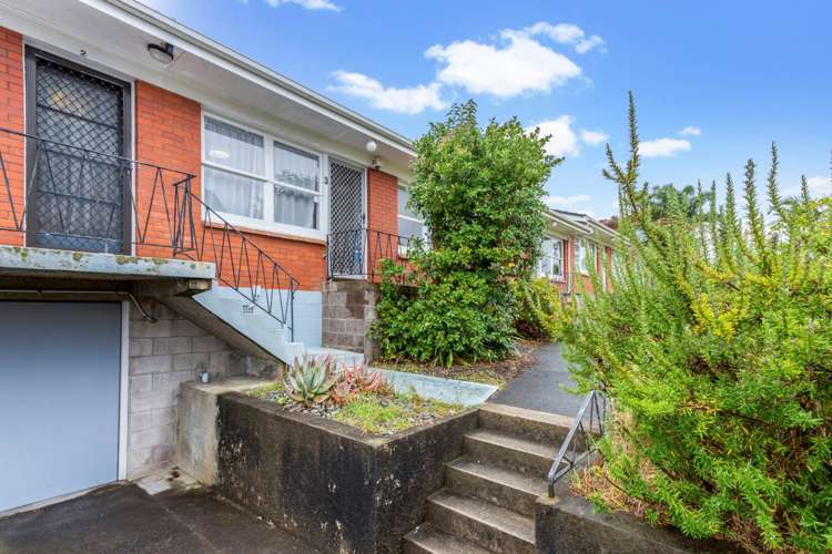 3/8 Counsel Terrace Mount Albert_6