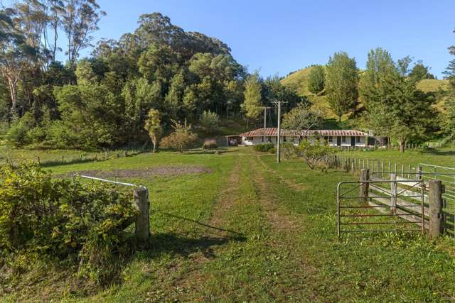 Part 171 Pakowhai Road Muriwai_3