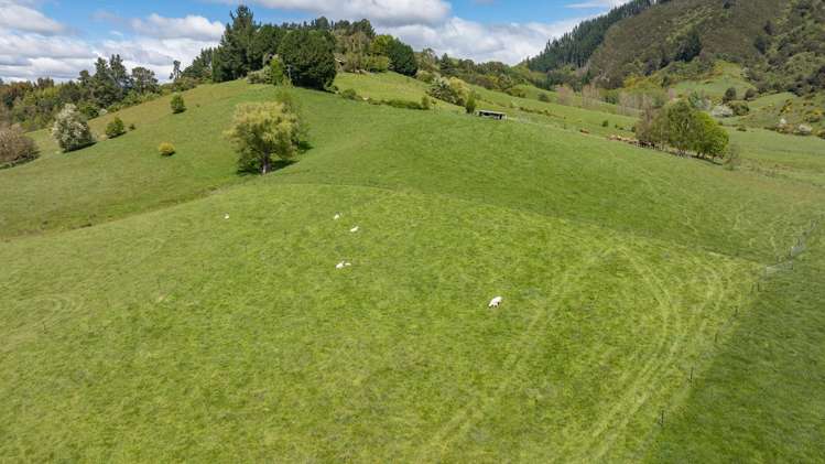 98 Thorpe-Orinoco Road Ngatimoti_4