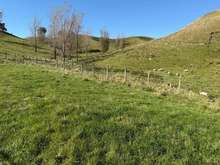 196 Ngapaeruru Rd Dannevirke_15