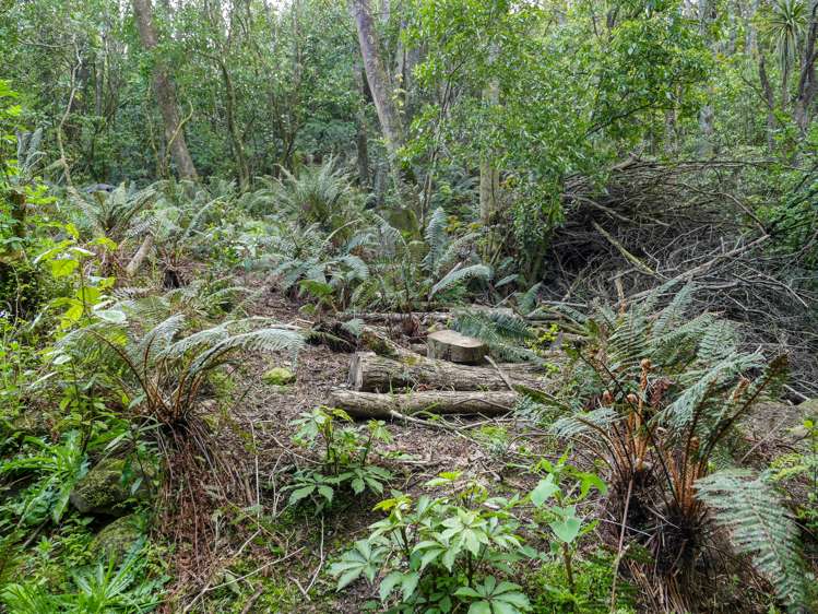 300 Helensburgh Road Helensburgh_13