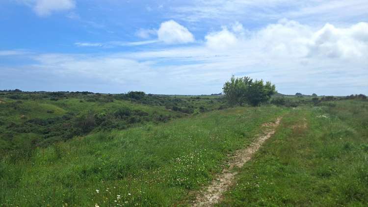 980 Wilsons Lead Road Cape Foulwind_3