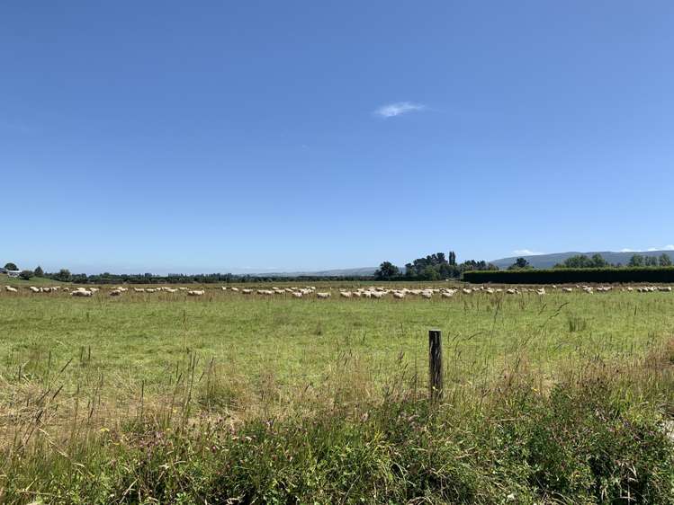 Dee Street West Otago Surrounds_9