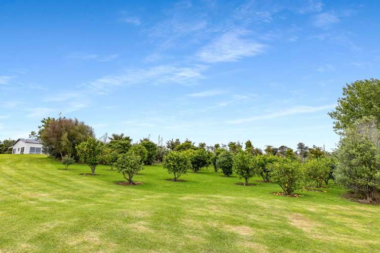 60a Devich Road Mangawhai_16