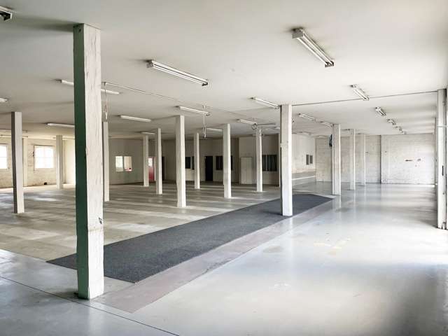 91 Vogel Street Dunedin Central_3