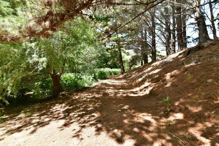 3008 Kaipara Coast Highway Glorit_23