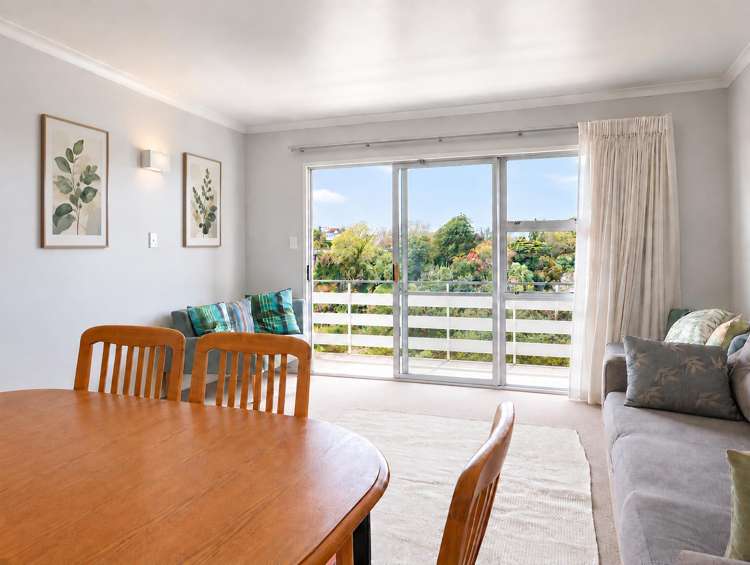 4C Clifton Road Hamilton Central_5