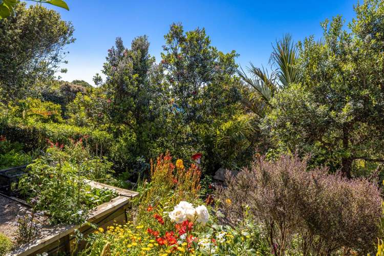 19 Coromandel Road Oneroa_5