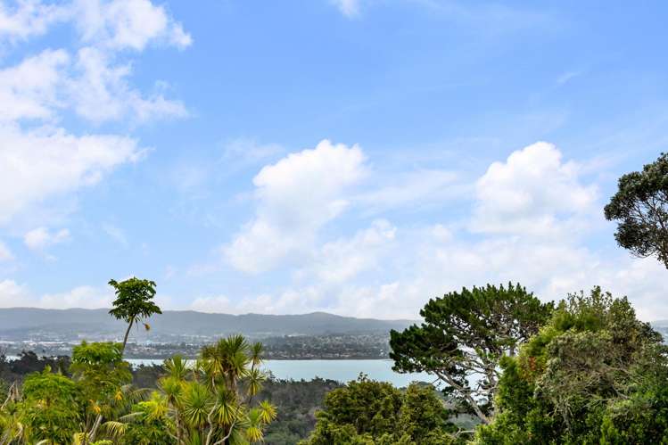 6 Waipa Street Birkenhead_1