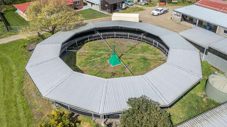 320 Hinuera Road Matamata_6