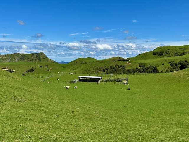 1371 Rangitatau East Road Brunswick_2