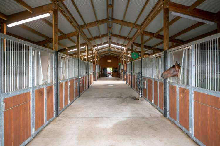 381 Mystery Creek Road Ohaupo_14