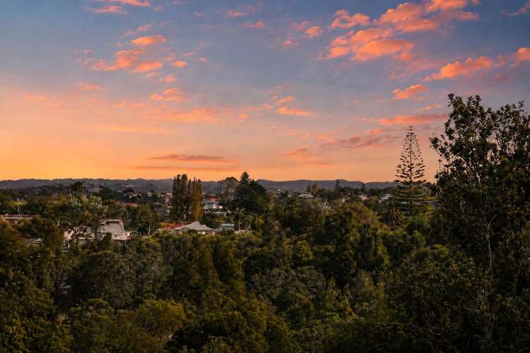 3/17 Cape Horn Road Mount Roskill_18