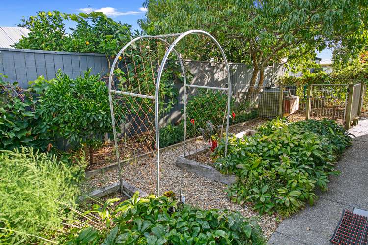 32 Richmond Street Cambridge_24