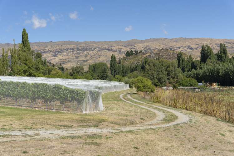 36 Hawley Road Alexandra_24