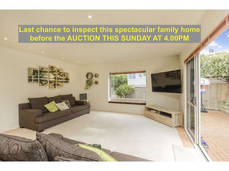 51 Whitney Street Avondale_0