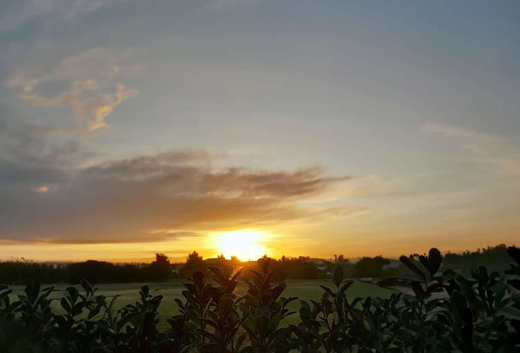 514 Bower Avenue Parklands_18