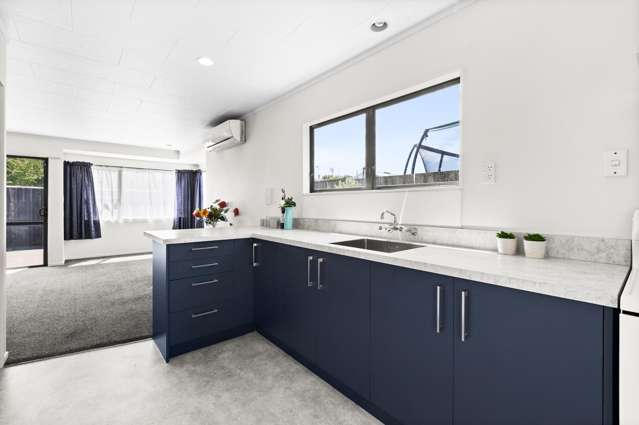 24b Ashridge Road Napier South_3