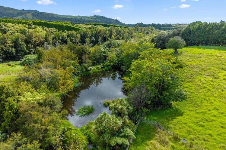 160 Woodland Road Katikati_21