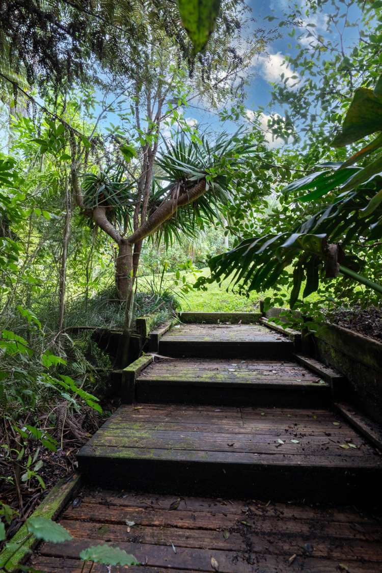 101 Daffodil Street Titirangi_25