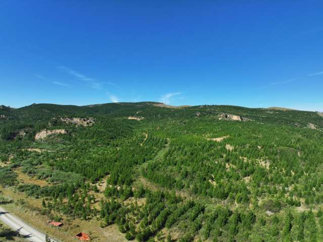 Waitahuna Gully Road Waitahuna Gully_4