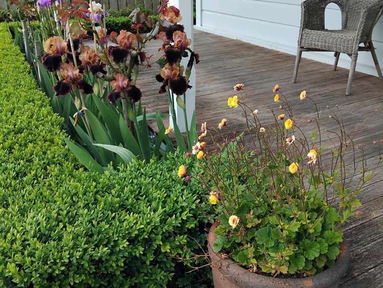 21 Signal Street Marton_26