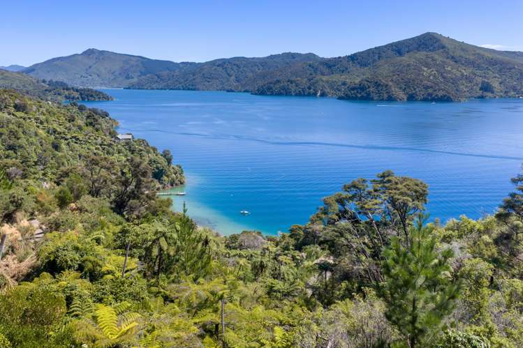 Lots 1 and 3/2787 Queen Charlotte Drive Queen Charlotte Sound_9