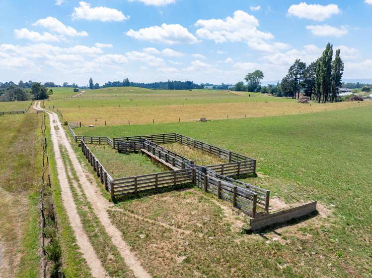 609 Okoroire-Te Poi Road Hauraki Surrounds_4