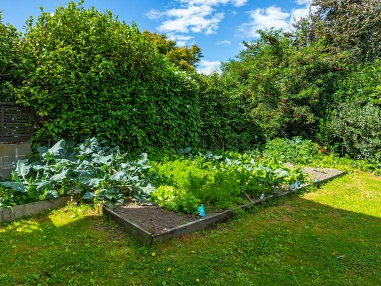 9 Barker Street Geraldine_11