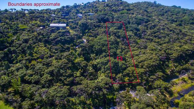 15 Tasman View Road Bethells Beach_2