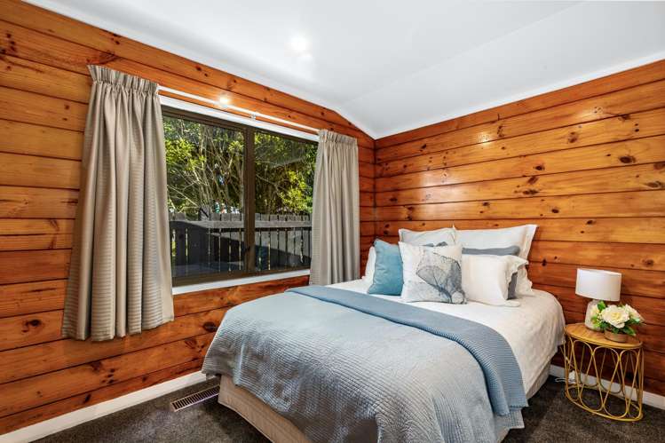 10 Gemstone Drive Birchville_12