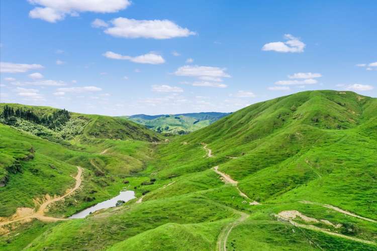 Thompsons Road Pahiatua_15