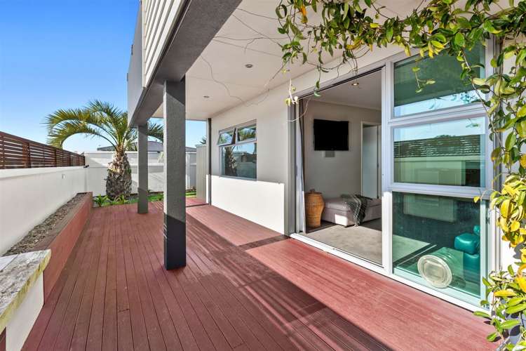 244a Saint Aubyn Street New Plymouth Central_15