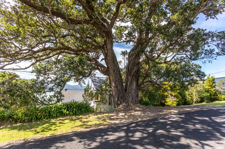 1485 Wyuna Bay Road Coromandel_11