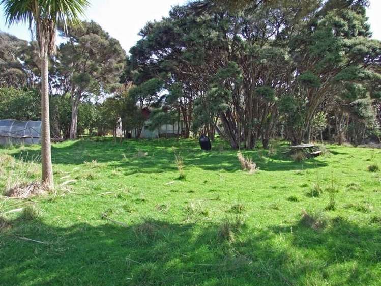 172 Wharariki Road Kahurangi National Park_3